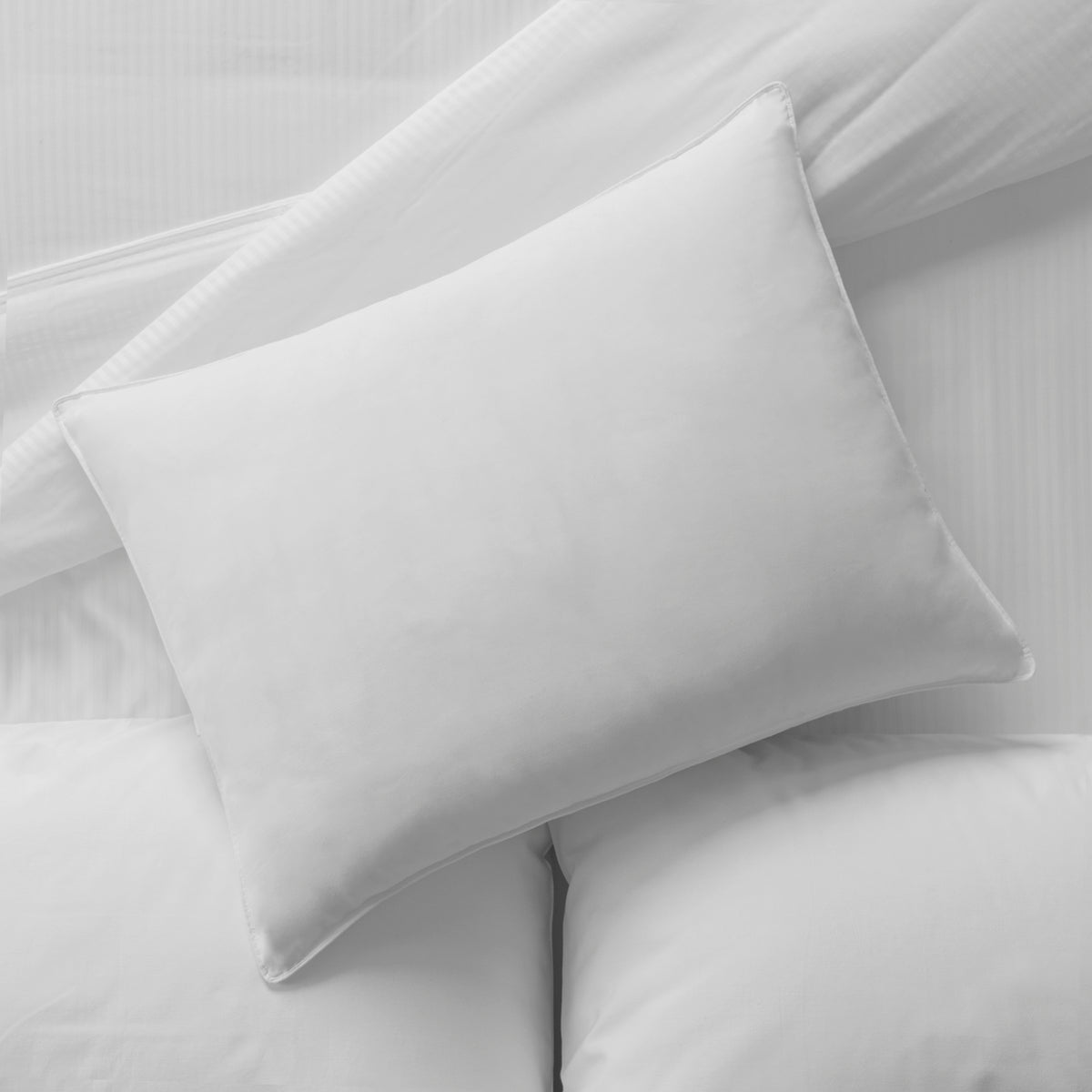 Sahara nights online firm pillow