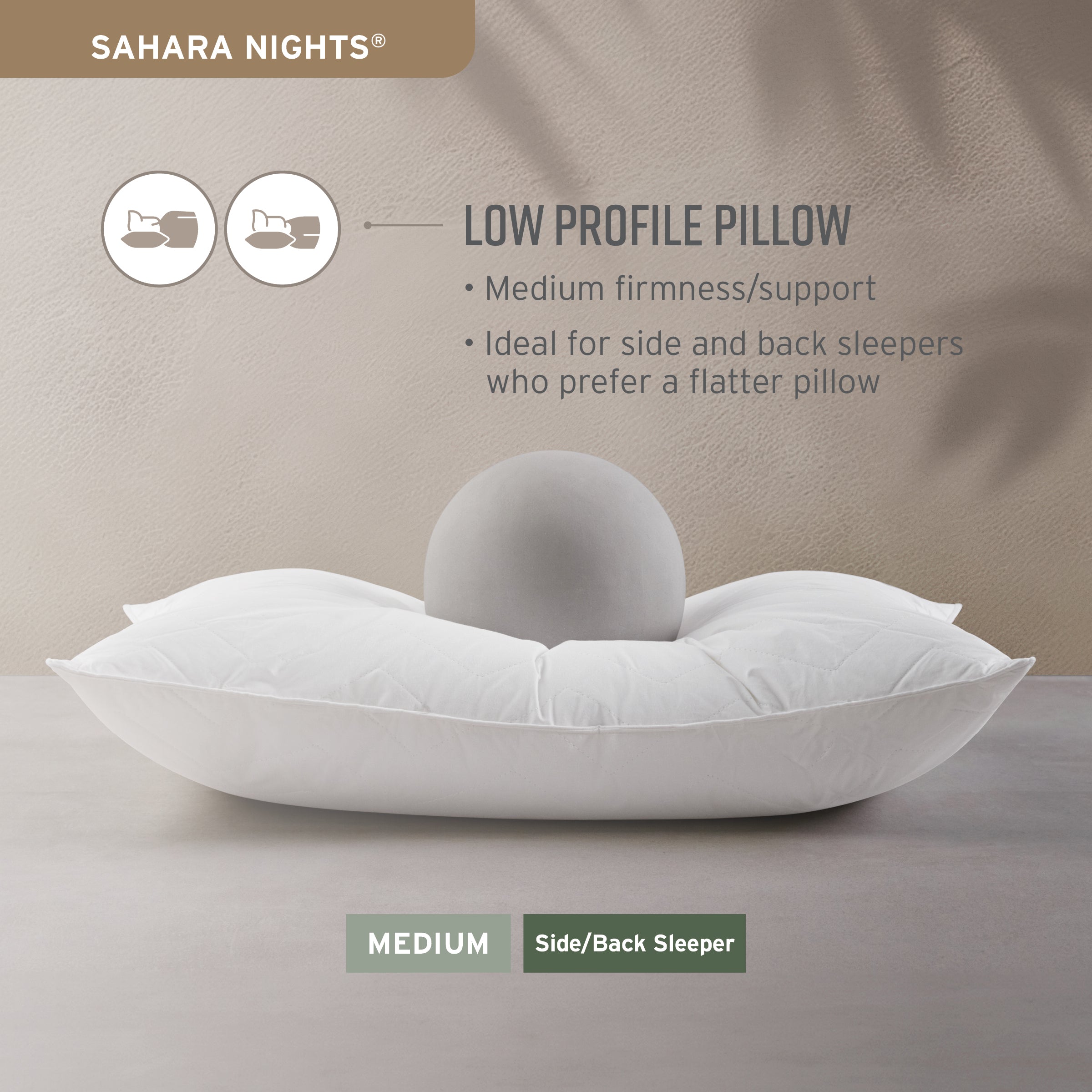 Sahara Nights Pillow Bundle