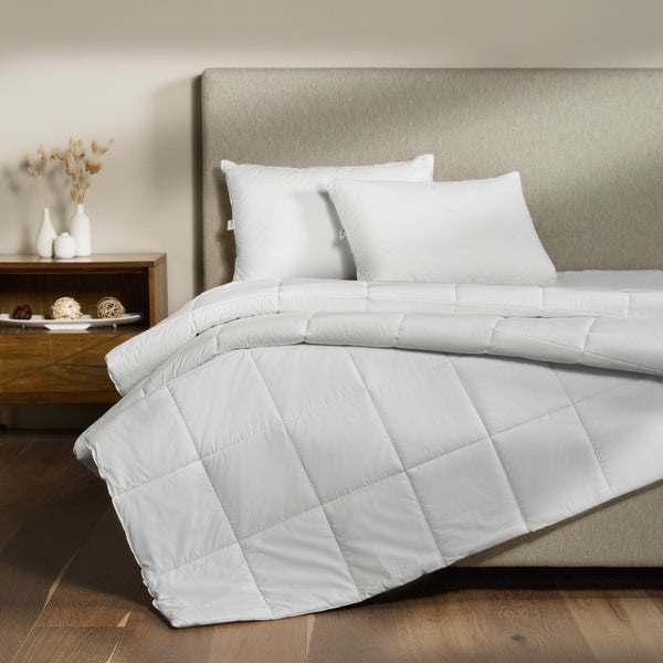 Enchanted Dreams Bundle