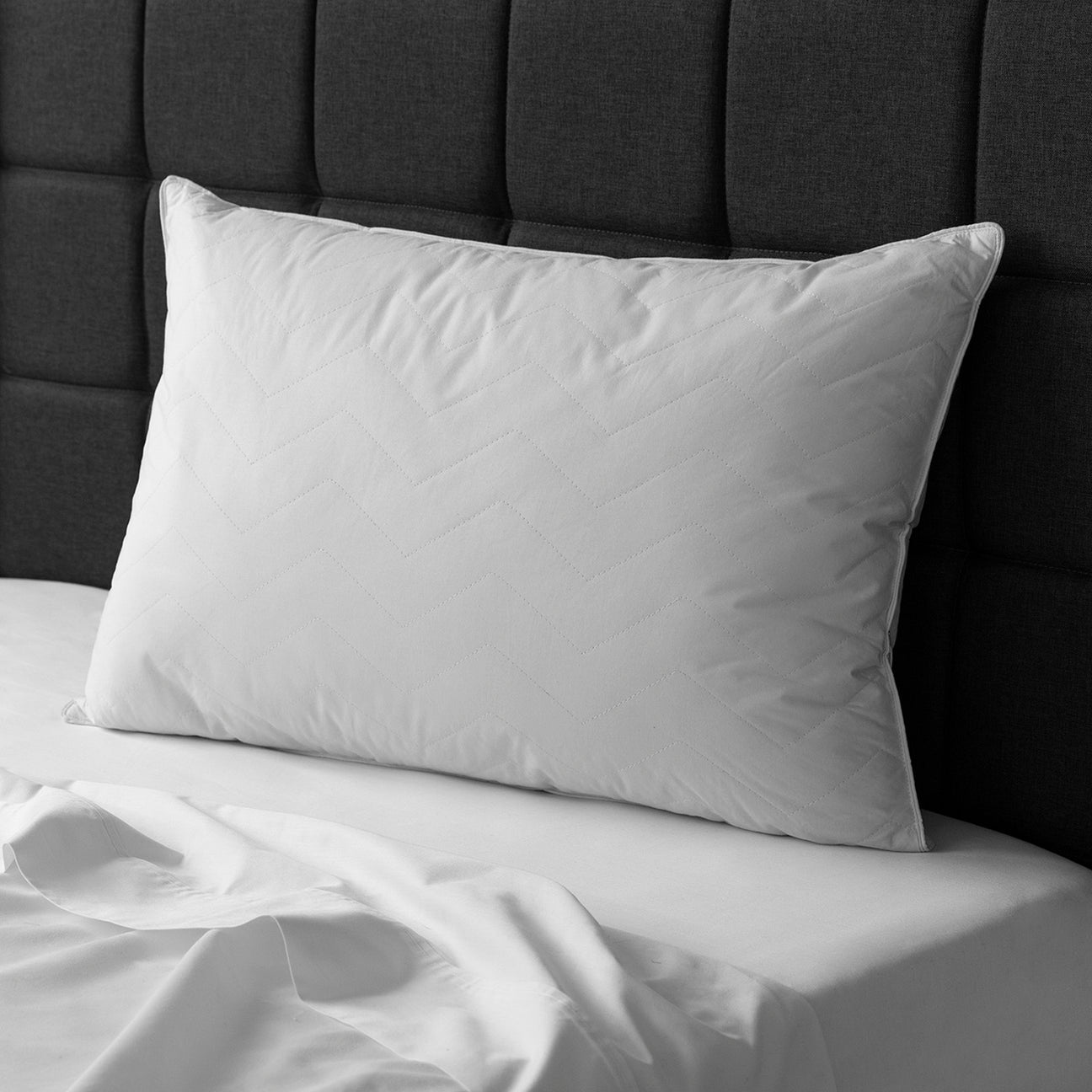 Hotel Sahara Nights Pillow (Bulk Set of 10 & 12)