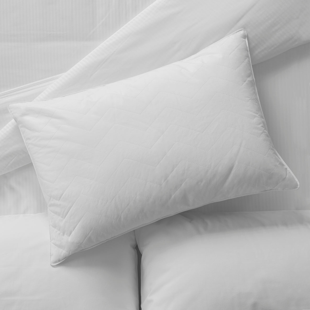 Hotel Sahara Nights Pillow (Bulk Set of 10 & 12)