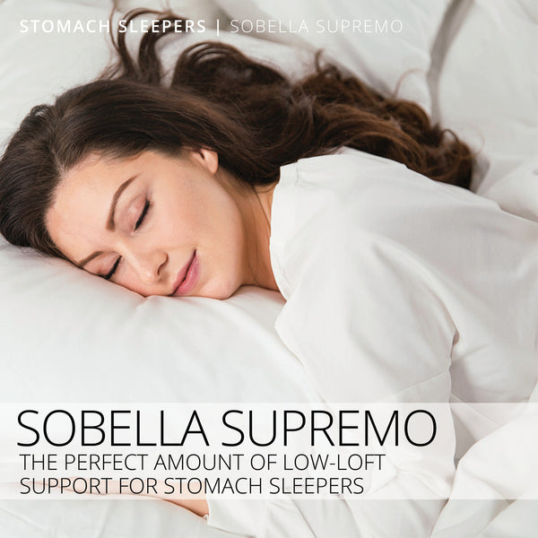 Hotel Sobella Supremo Queen Pillow  (Bulk Set of 10)